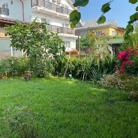 Vila Velis